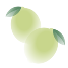 Yuzu (Limão Japonês)