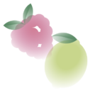 Limonada com Framboesa